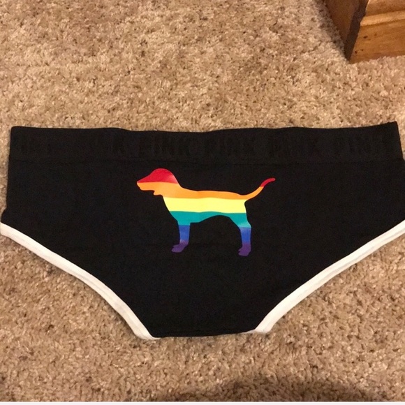 PINK Victoria's Secret Other - ❌SOLD❌NEW! VS PINK Pride 🌈 panty